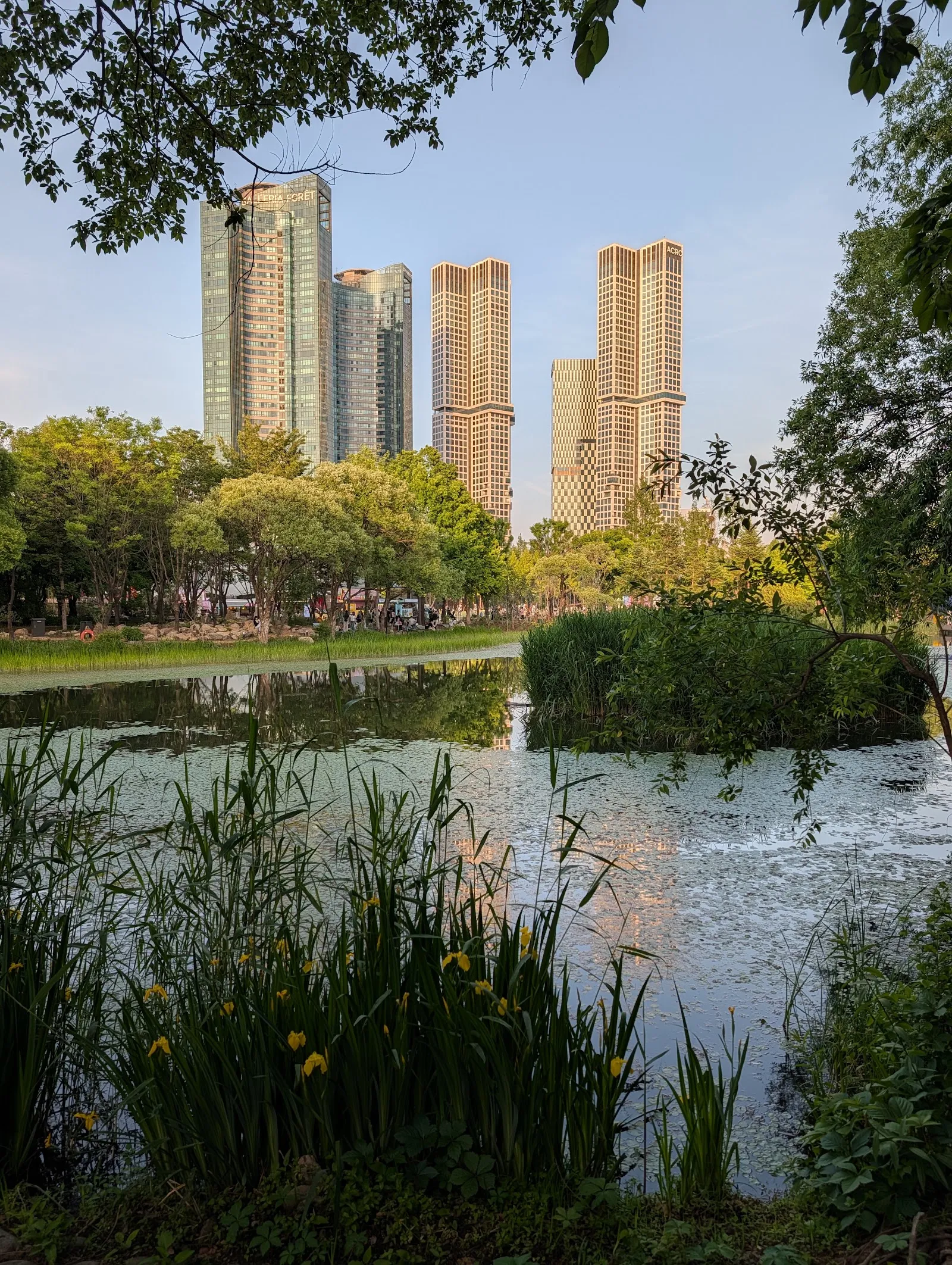 El estanque del Seoul Forest con los rascacielos al fondo