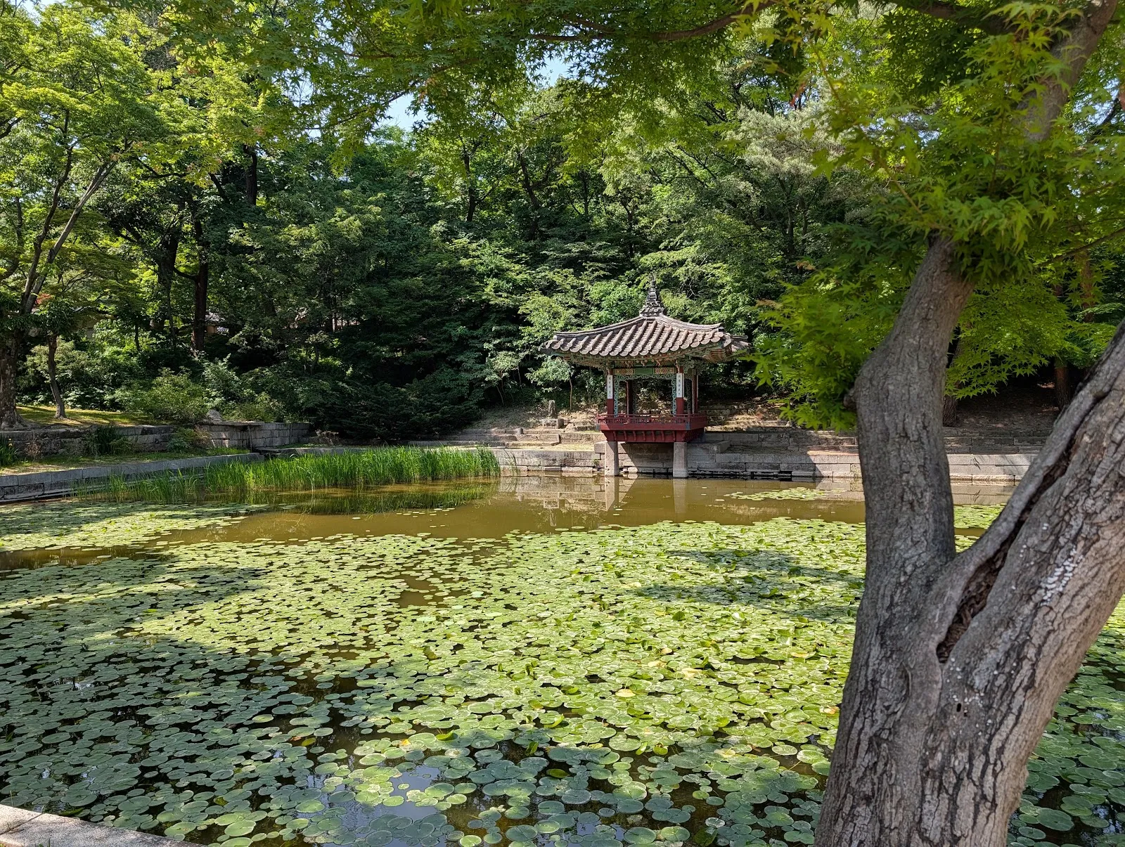 El estanque del jardín secreto de Changdeokgung con su pabellón